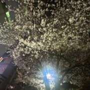 ヒメ日記 2026/03/27 03:20 投稿 高倉さき 池袋3P複数プレイ専門店 ハーレム