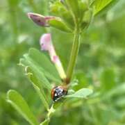 ヒメ日記 2026/04/22 21:41 投稿 高倉さき 池袋3P複数プレイ専門店 ハーレム