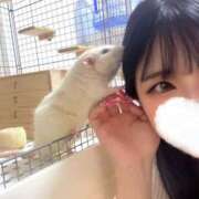 ヒメ日記 2025/05/17 11:18 投稿 ゆう 大和人妻城