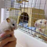 ヒメ日記 2025/09/27 23:43 投稿 ゆう 大和人妻城