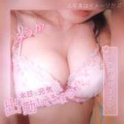 ヒメ日記 2025/02/28 09:07 投稿 ふうか ダイスキ