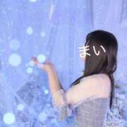 ヒメ日記 2026/01/12 14:33 投稿 まい ダイスキ