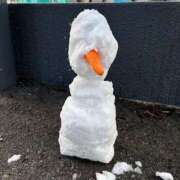 ヒメ日記 2026/01/23 11:28 投稿 まい ダイスキ