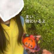 ヒメ日記 2026/01/23 15:58 投稿 まい ダイスキ