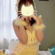 ヒメ日記 2026/02/22 12:16 投稿 まい ダイスキ