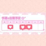 ヒメ日記 2025/06/02 20:01 投稿 はつね ダイスキ