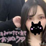 ヒメ日記 2024/12/10 18:15 投稿 さえ One More奥様　横浜関内店