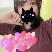 ヒメ日記 2025/01/08 12:06 投稿 さえ One More奥様　横浜関内店