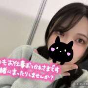 ヒメ日記 2025/03/25 14:17 投稿 さえ One More奥様　横浜関内店