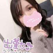 ヒメ日記 2025/04/12 17:50 投稿 さえ One More奥様　横浜関内店