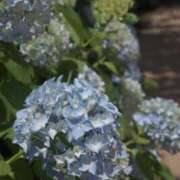 ヒメ日記 2025/10/23 15:26 投稿 さえ One More奥様　横浜関内店