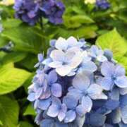 ヒメ日記 2025/11/18 16:13 投稿 さえ One More奥様　横浜関内店