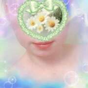 ヒメ日記 2025/02/11 11:29 投稿 平野まなみ HANABI(福富町)