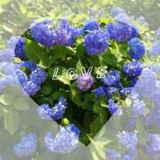 ヒメ日記 2025/06/13 13:53 投稿 平野まなみ HANABI(福富町)