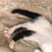 ヒメ日記 2024/12/12 06:09 投稿 新田 サロン・ド・ティアラ 浜松店