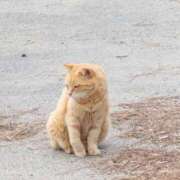 ヒメ日記 2024/12/26 07:09 投稿 新田 サロン・ド・ティアラ 浜松店