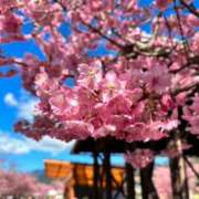 ヒメ日記 2025/02/23 09:48 投稿 新田 サロン・ド・ティアラ 浜松店