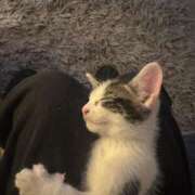 ヒメ日記 2025/03/02 20:30 投稿 新田 サロン・ド・ティアラ 浜松店