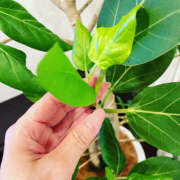 ヒメ日記 2025/09/19 16:10 投稿 ひより 奥鉄オクテツ東京店（デリヘル市場）