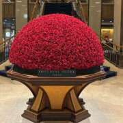 ひより ひよりです 奥鉄オクテツ東京店（デリヘル市場）