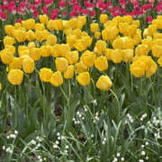 ヒメ日記 2026/04/28 02:10 投稿 ひより 奥鉄オクテツ東京店（デリヘル市場）