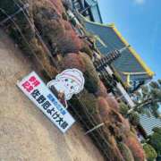 ヒメ日記 2025/01/22 00:24 投稿 まいこ 埼玉本庄ちゃんこ