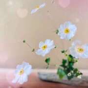 ヒメ日記 2025/03/15 09:43 投稿 りさ 鶯谷デリヘル倶楽部