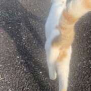 ヒメ日記 2025/01/14 10:51 投稿 ゆうね クラブハート