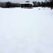 ヒメ日記 2026/01/29 08:18 投稿 ゆうね クラブハート