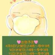 ヒメ日記 2025/04/07 15:07 投稿 みこと 群馬伊勢崎ちゃんこ