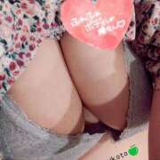 みこと 約1週間ぶりっ！？ 群馬伊勢崎ちゃんこ