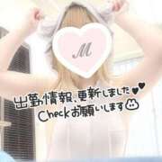 ヒメ日記 2025/03/27 09:42 投稿 みずな 西川口こんにちわいふ（シンデレラグループ）