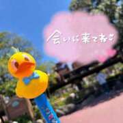 ヒメ日記 2025/05/08 09:45 投稿 みずな 西川口こんにちわいふ（シンデレラグループ）