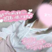 ヒメ日記 2025/05/31 10:13 投稿 みずな 西川口こんにちわいふ（シンデレラグループ）