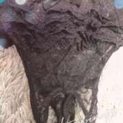 ヒメ日記 2025/03/17 00:15 投稿 水瀬 えみ こあくまな熟女たち 上野・御徒町店 (KOAKUMAグループ)