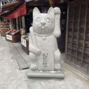 ヒメ日記 2025/04/29 17:15 投稿 くらげ スピードエコ日本橋店