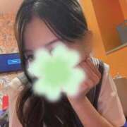 ヒメ日記 2025/08/11 17:54 投稿 れんか ビデオDEはんど 名古屋校