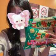 ヒメ日記 2025/11/13 00:05 投稿 れんか ビデオDEはんど 名古屋校