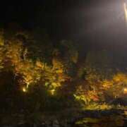 ヒメ日記 2025/11/20 01:35 投稿 れんか ビデオDEはんど 名古屋校