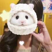 ヒメ日記 2025/12/18 18:25 投稿 れんか ビデオDEはんど 名古屋校