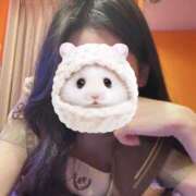 ヒメ日記 2026/02/26 13:25 投稿 れんか ビデオDEはんど 名古屋校