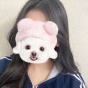 ヒメ日記 2026/03/04 14:30 投稿 れんか ビデオDEはんど 名古屋校