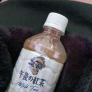 ヒメ日記 2025/03/04 12:18 投稿 ちむ 甲府人妻隊