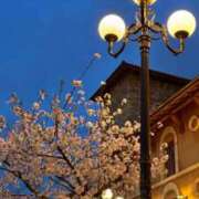 ヒメ日記 2025/03/29 21:51 投稿 かりん 錦糸町人妻ヒットパレード（シンデレラグループ）