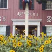 ヒメ日記 2025/07/19 21:28 投稿 かりん 錦糸町人妻ヒットパレード（シンデレラグループ）