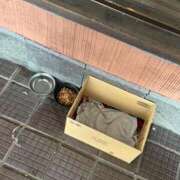 かりん 地元の小話 錦糸町人妻ヒットパレード（シンデレラグループ）