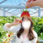 ヒメ日記 2026/04/16 23:18 投稿 かりん 錦糸町人妻ヒットパレード（シンデレラグループ）