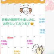 ヒメ日記 2026/06/26 07:11 投稿 三好ゆみか(みよしゆみか) 神戸妻