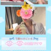 ヒメ日記 2026/07/15 14:20 投稿 三好ゆみか(みよしゆみか) 神戸妻