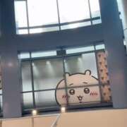 ヒメ日記 2026/08/01 08:27 投稿 三好ゆみか(みよしゆみか) 神戸妻